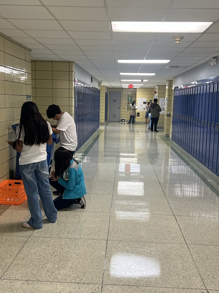 View of how gallery walk was set up