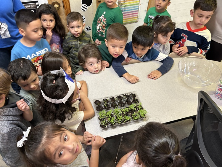 Pk & 2nd grade 