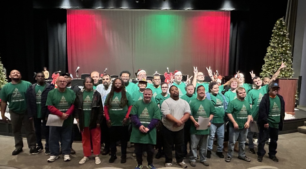 Group pf individua;ls at concert