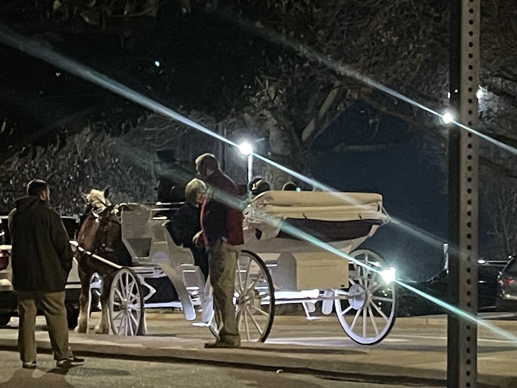 Night to shine horse and buggies
