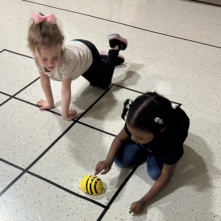 BeeBot robot 