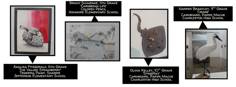 art 13