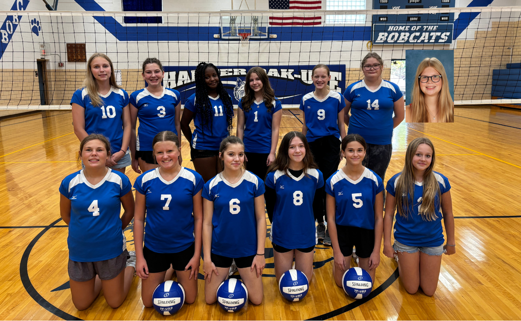 Volleyball