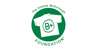 B+ foundation logo