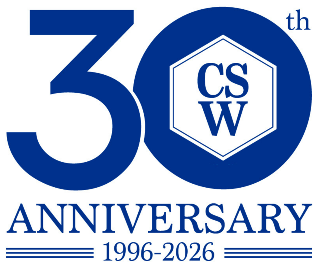 30 Year Logo