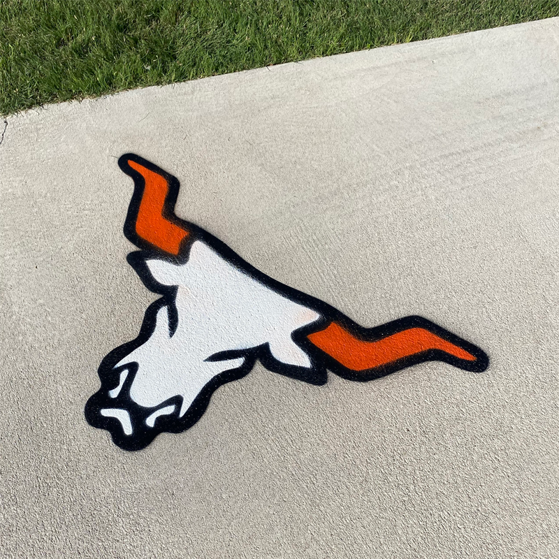 longhorn-driveway-painting