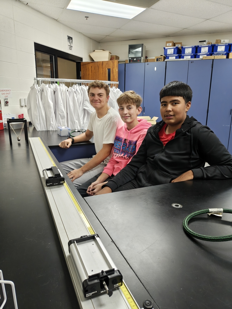 testing their hypothesis on mass and velocity