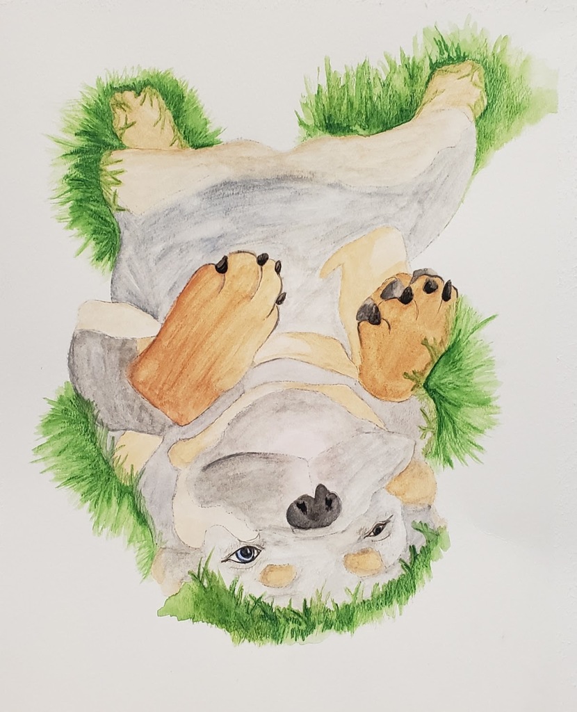 dog watercolor