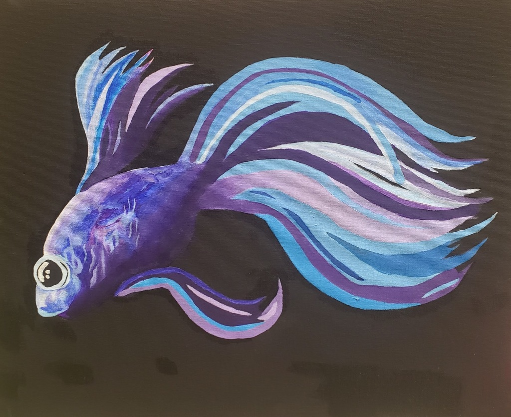 beta fish