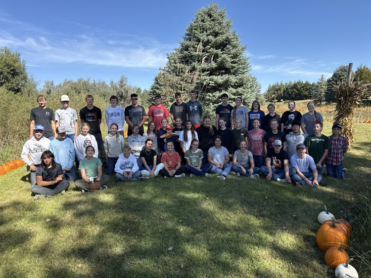 pumpkinpatch