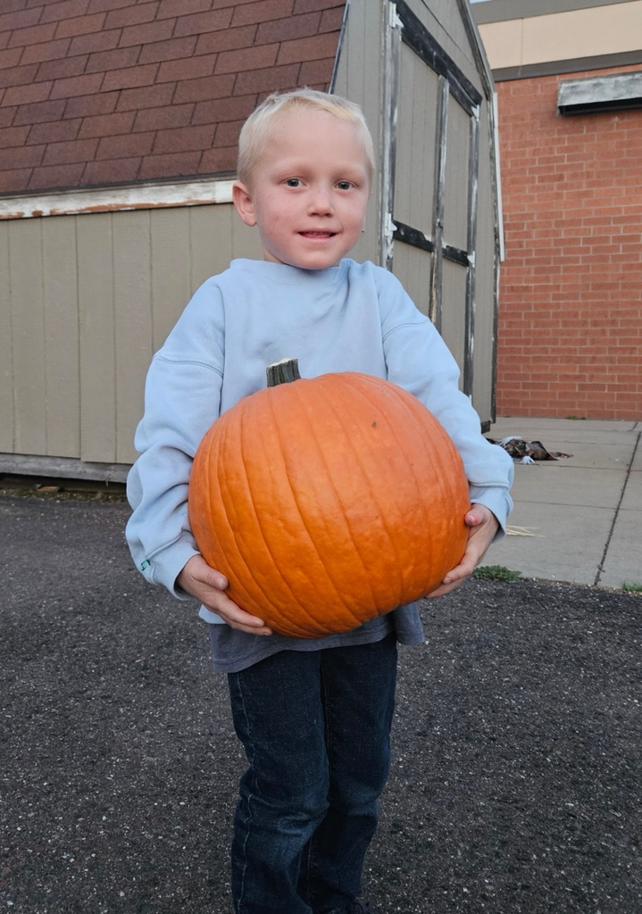 fall