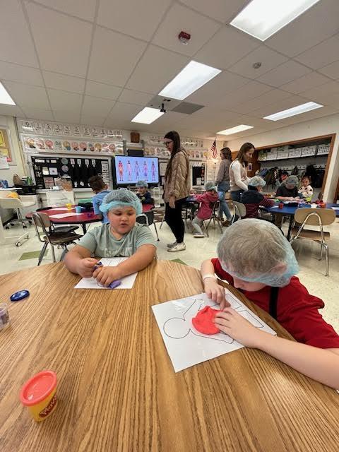 student making organs out of playdoh