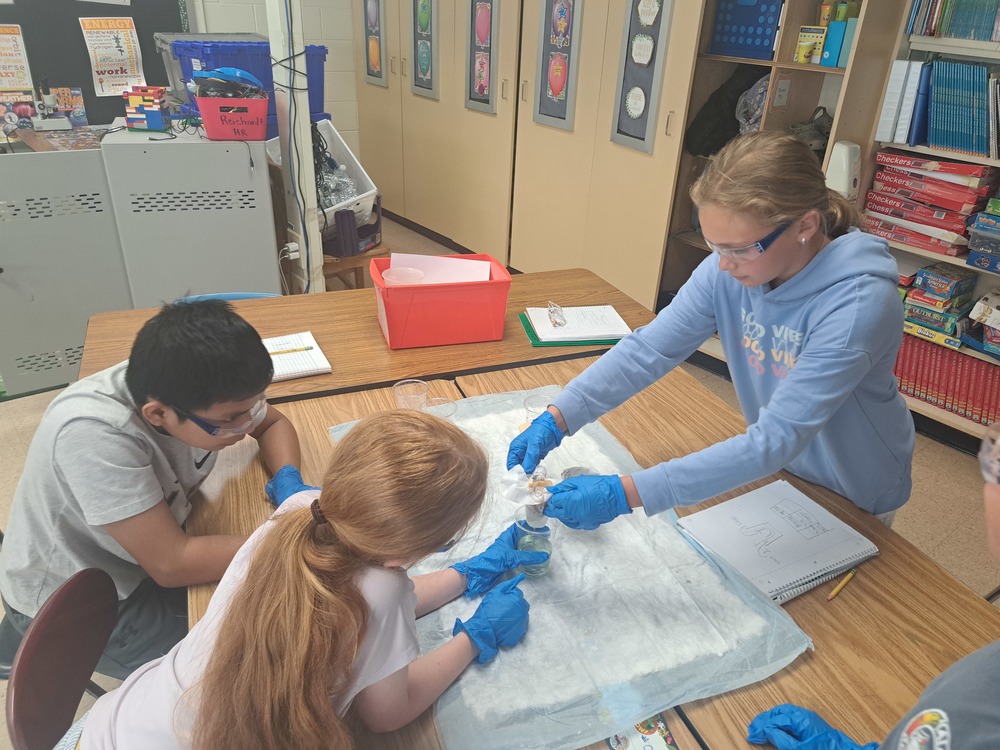 students filtering water