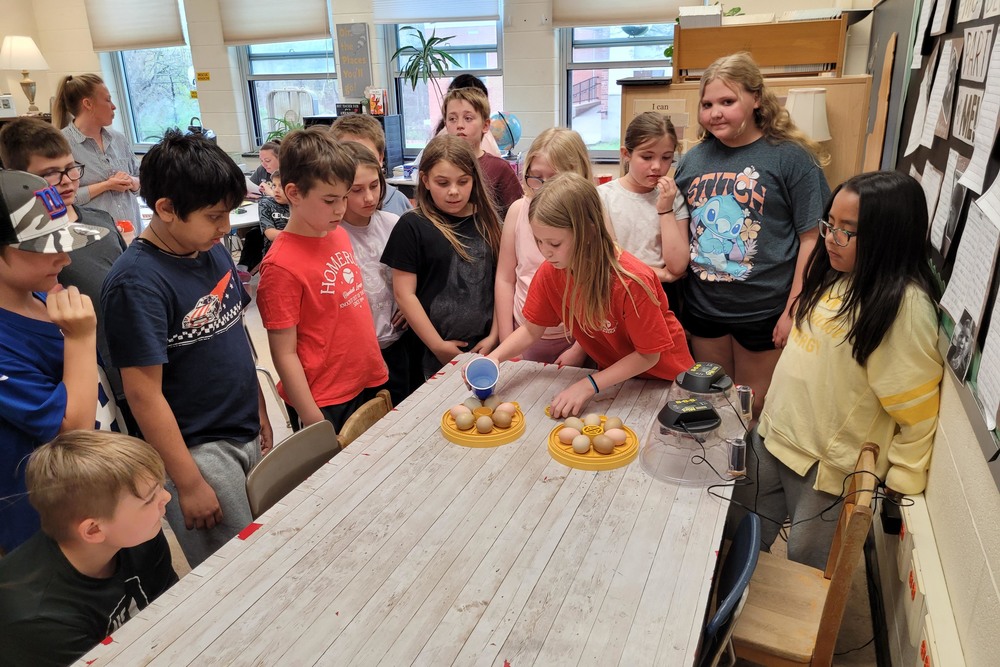 students looking at eggs in incubators
