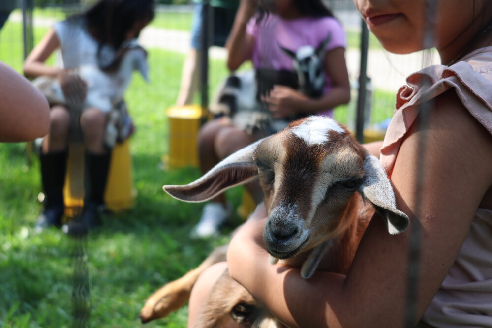 girls holding goats