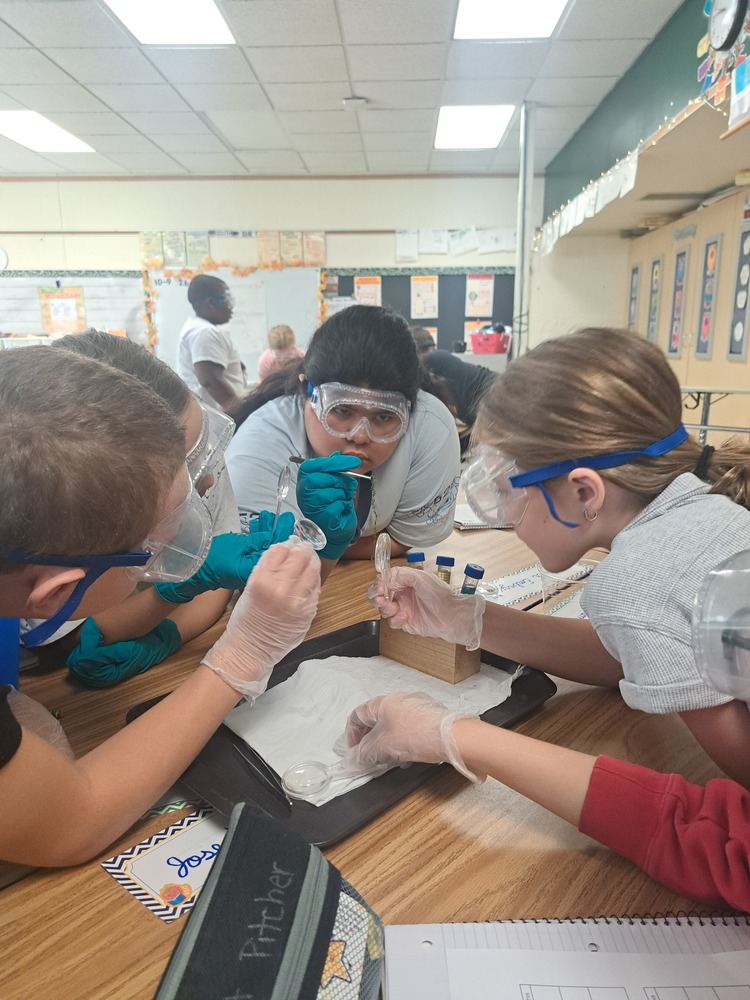 students wearing lab goggles looking at test tubes
