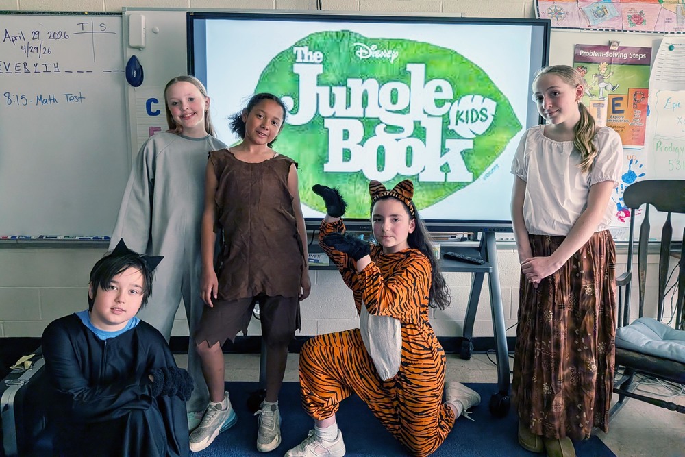 Cats of MED's Jungle Book