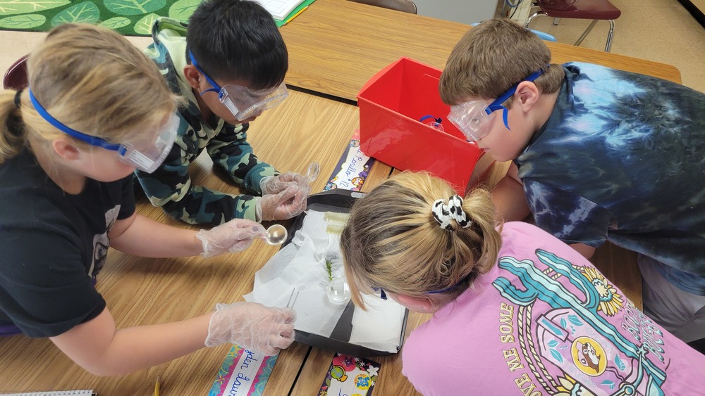 students doing lab experiment