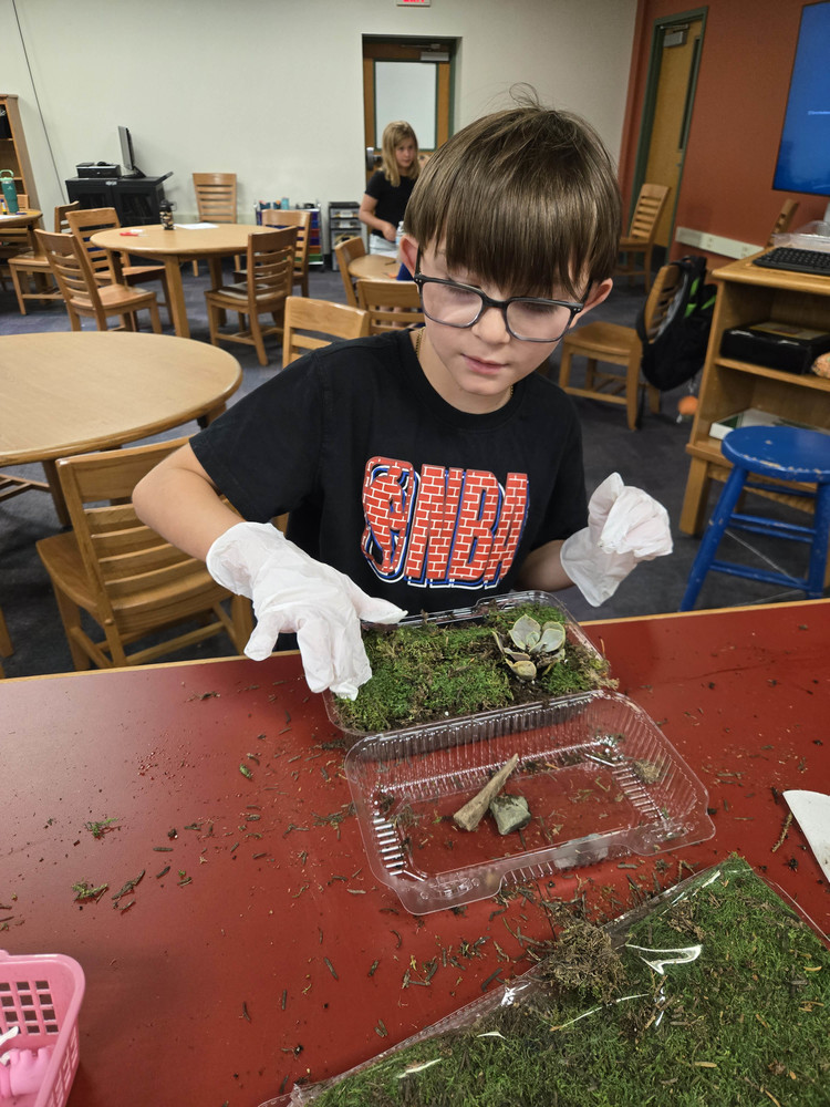 boy putting moss in plastic container