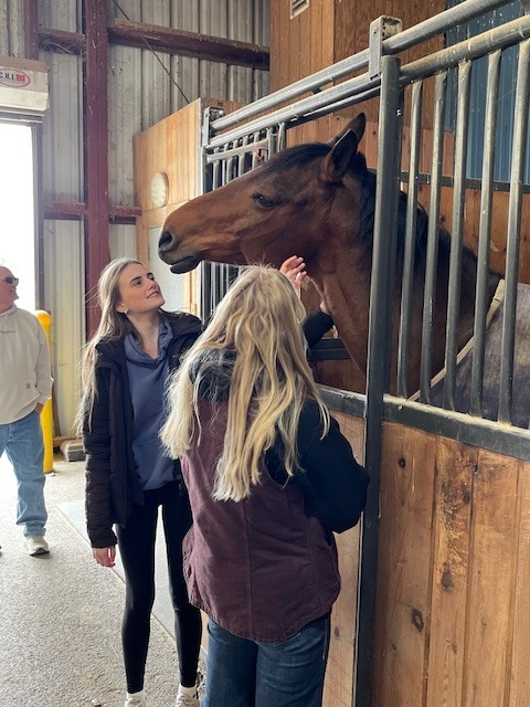 two girls petting horse in stall
