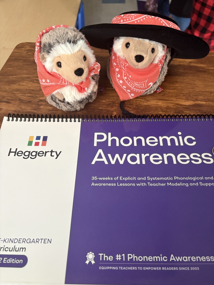 two plush toy hedgehogs and Phonemic Awareness