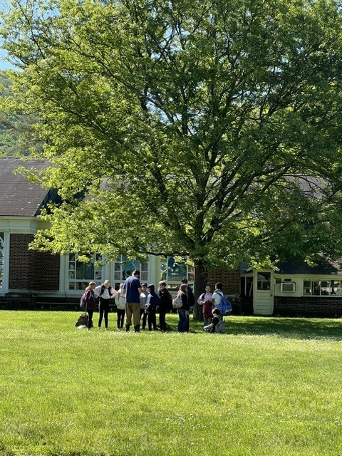 students standing in circle under tree