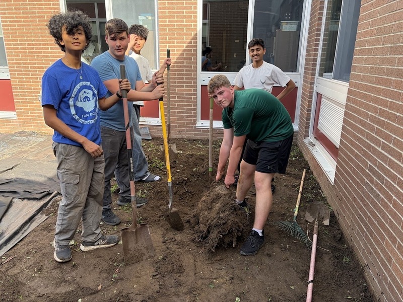 five young men digging up stump