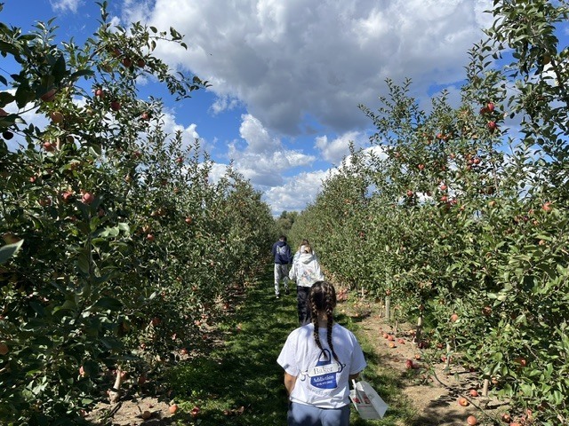 students walking in apple orchard