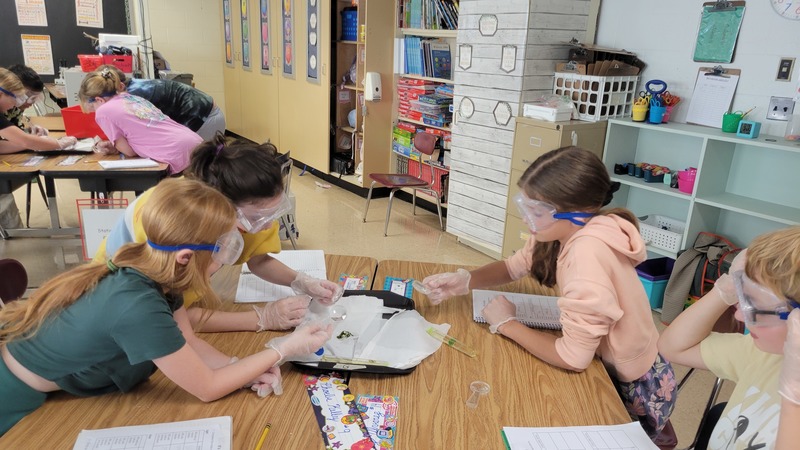 students doing lab experiment 