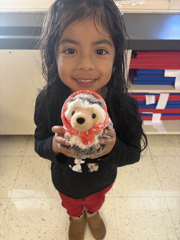 girl holding hedgehog toy