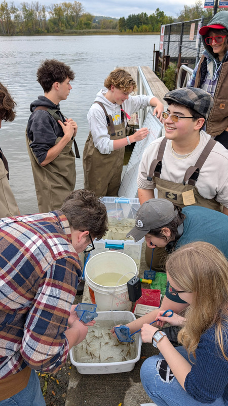 students putting fish in tanks