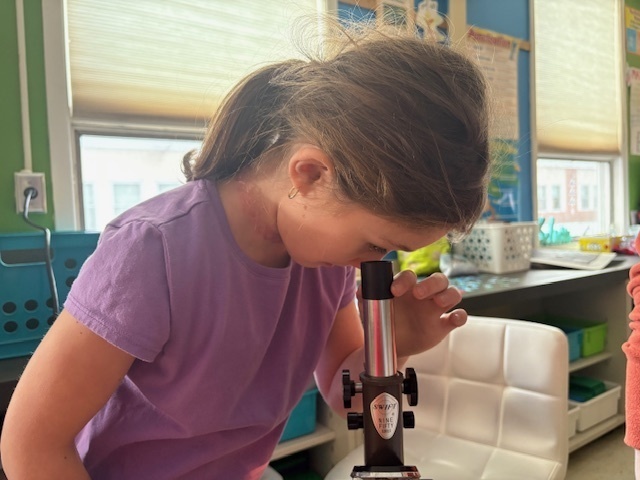 girl looking slide through microscope