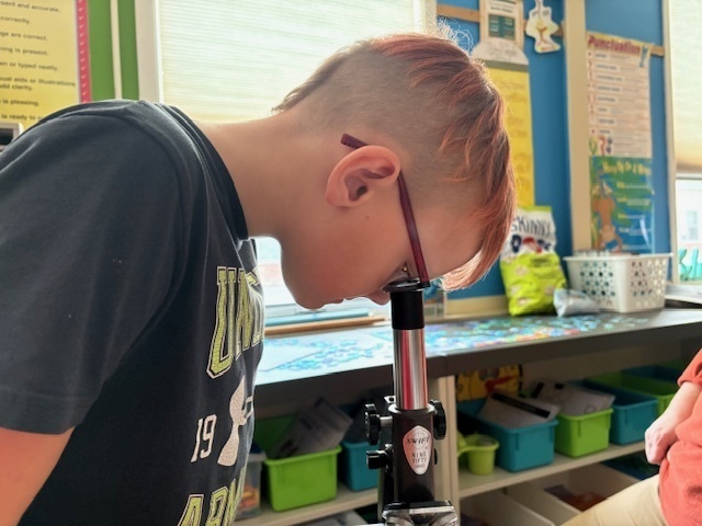 boy looking at slide through microscope