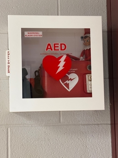 Elf hiding in SED box