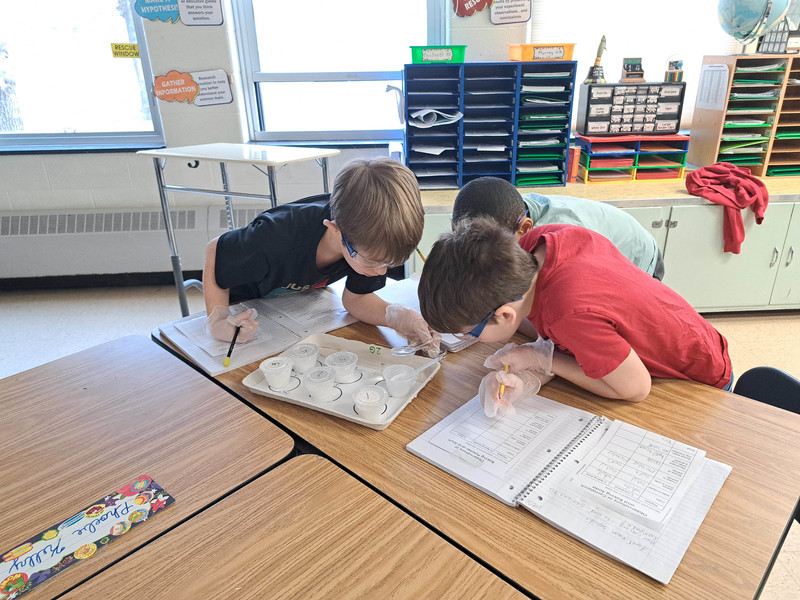students smelling substance in cup