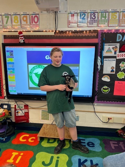 young woman holding baby goat