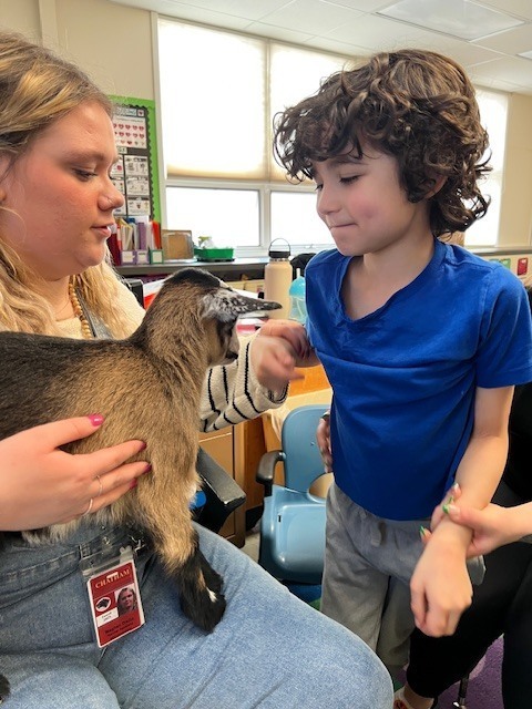 woman holding baby goat while boy pets it