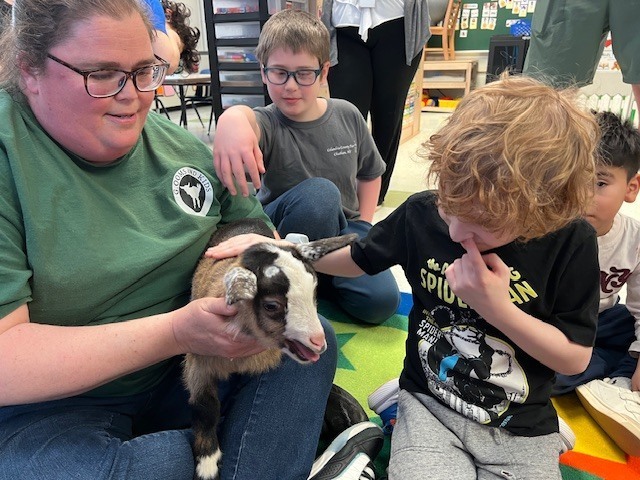 woman holding goat while boy pets it