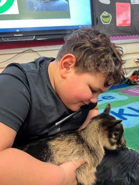 boy cuddling with baby goat