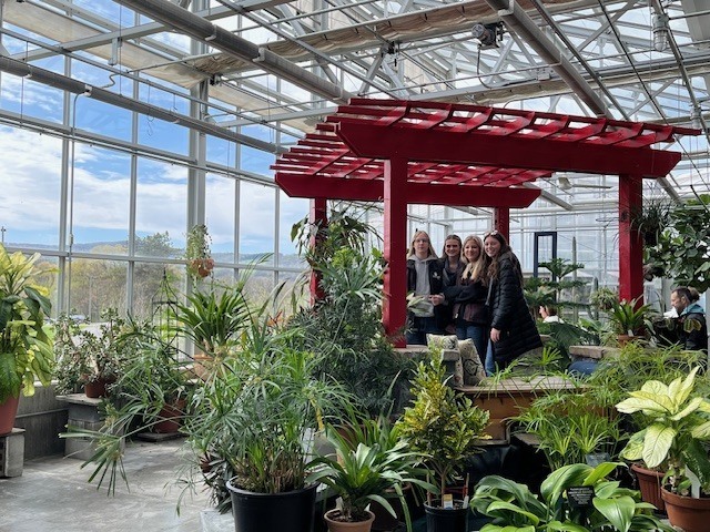 students in greenhouse