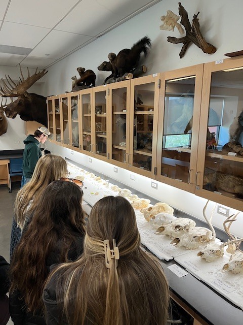student in wildlife lab