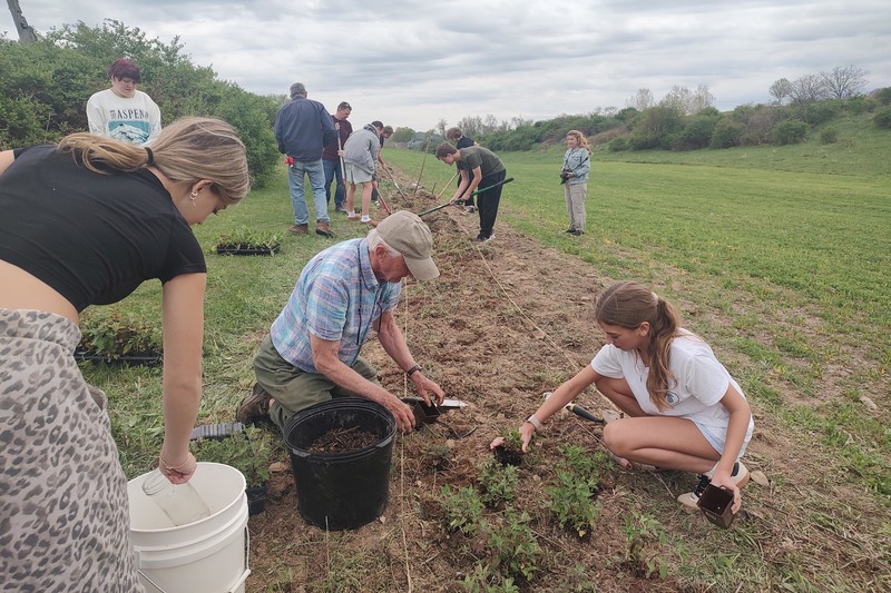 students and seniors planting flowers