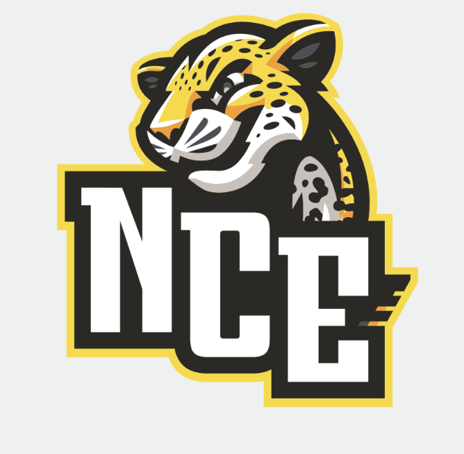 image of the jaguar mascot