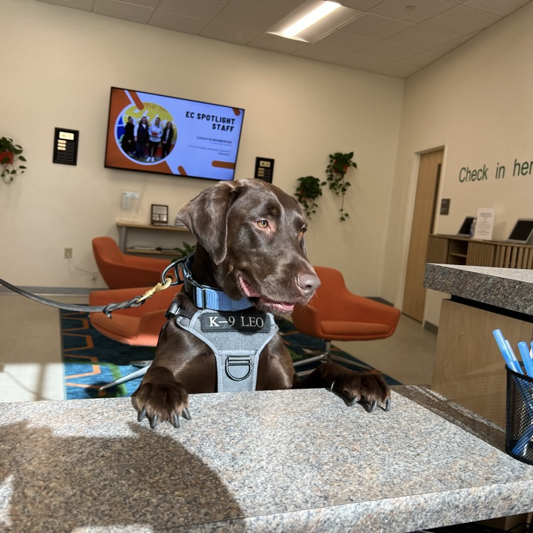 K-9 Leo