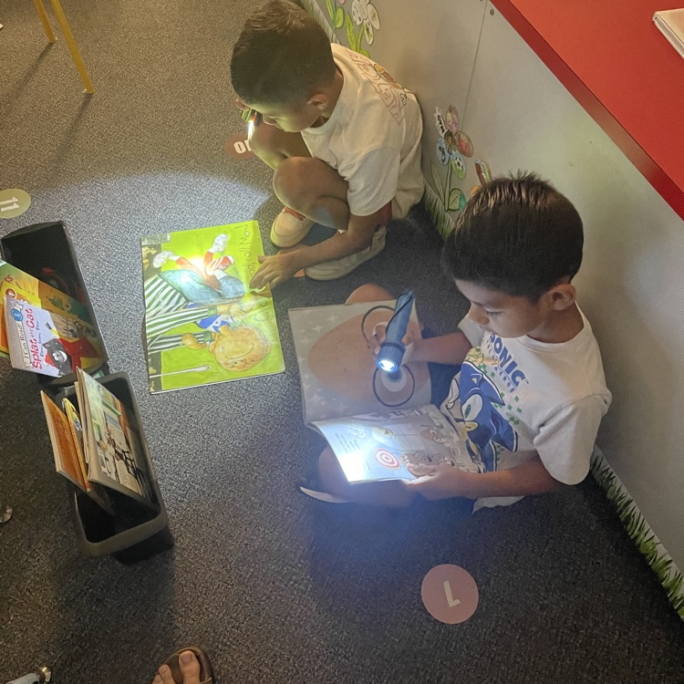 flashlight reading