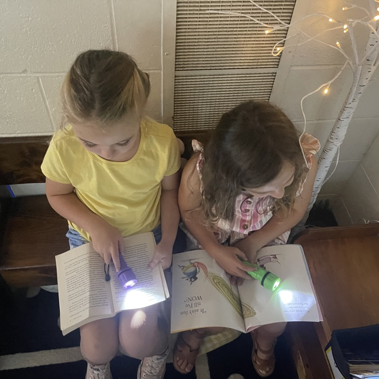 flashlight reading