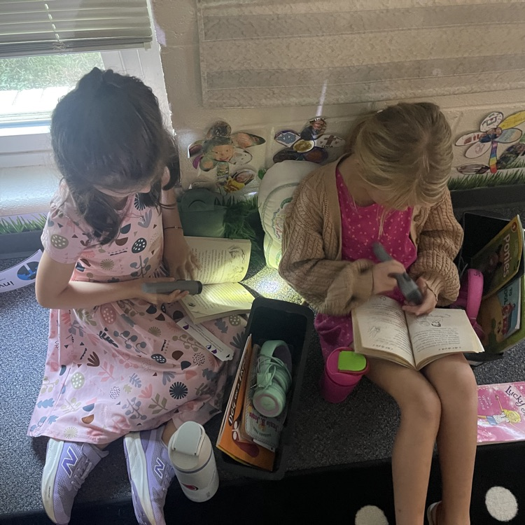 flashlight reading 