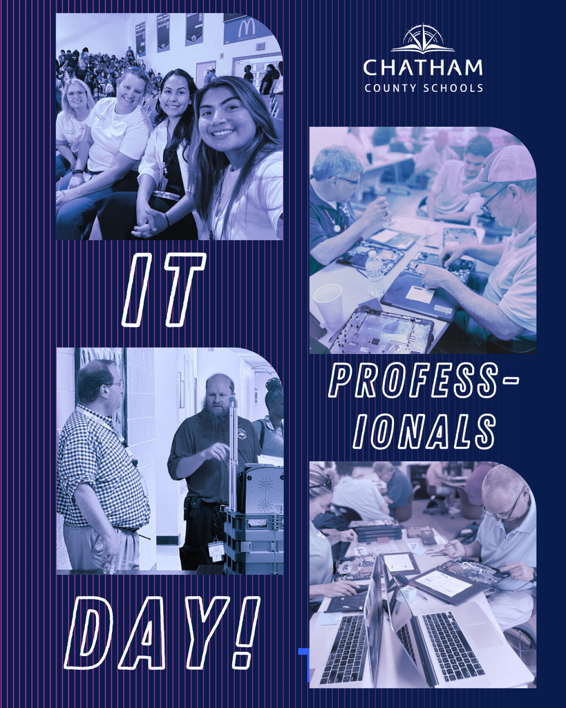 IT Professionals Day