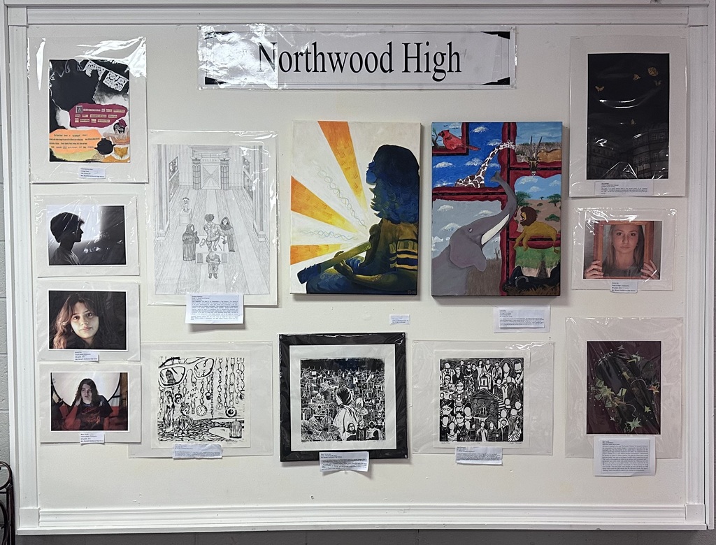 Chatham County Fair Art