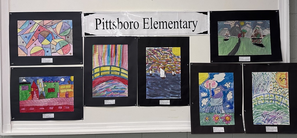 Chatham County Fair Art